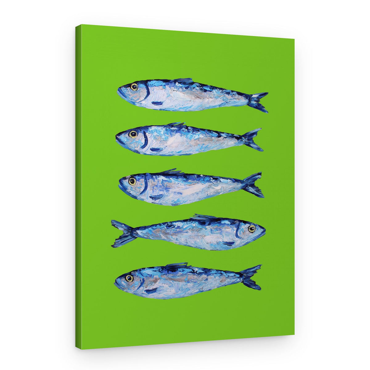 Fresh Blue Sardines – Canvas Print