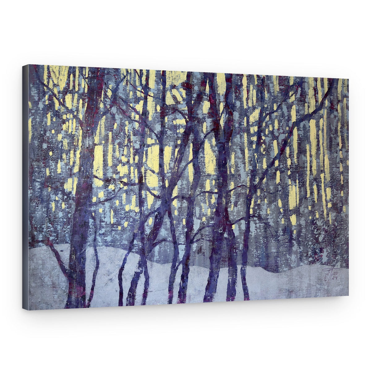 Winter Forest Light – Canvas Print