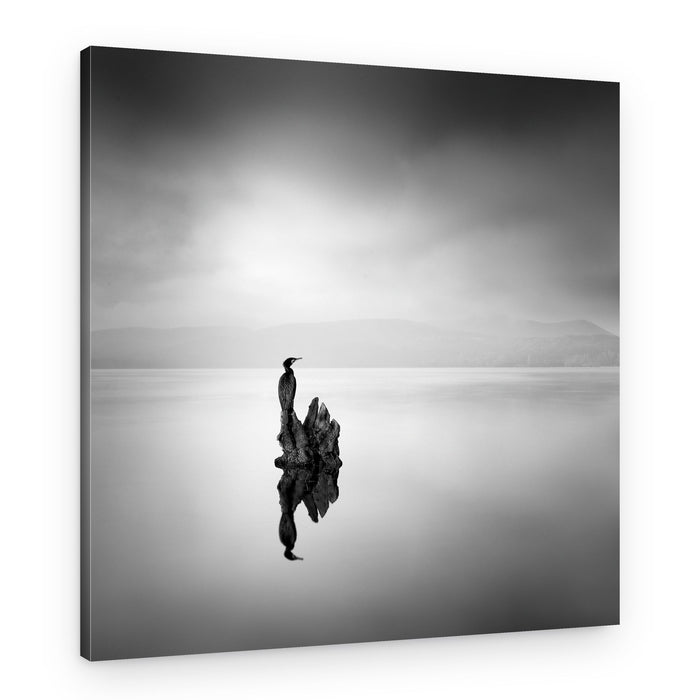 Solitary Bird Reflection – Canvas Print