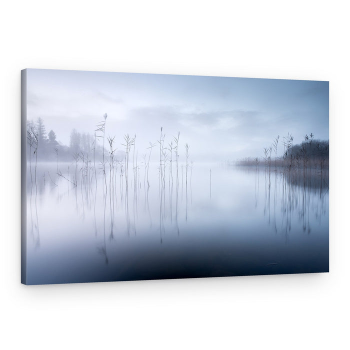 Tranquil Misty Morning – Canvas Print