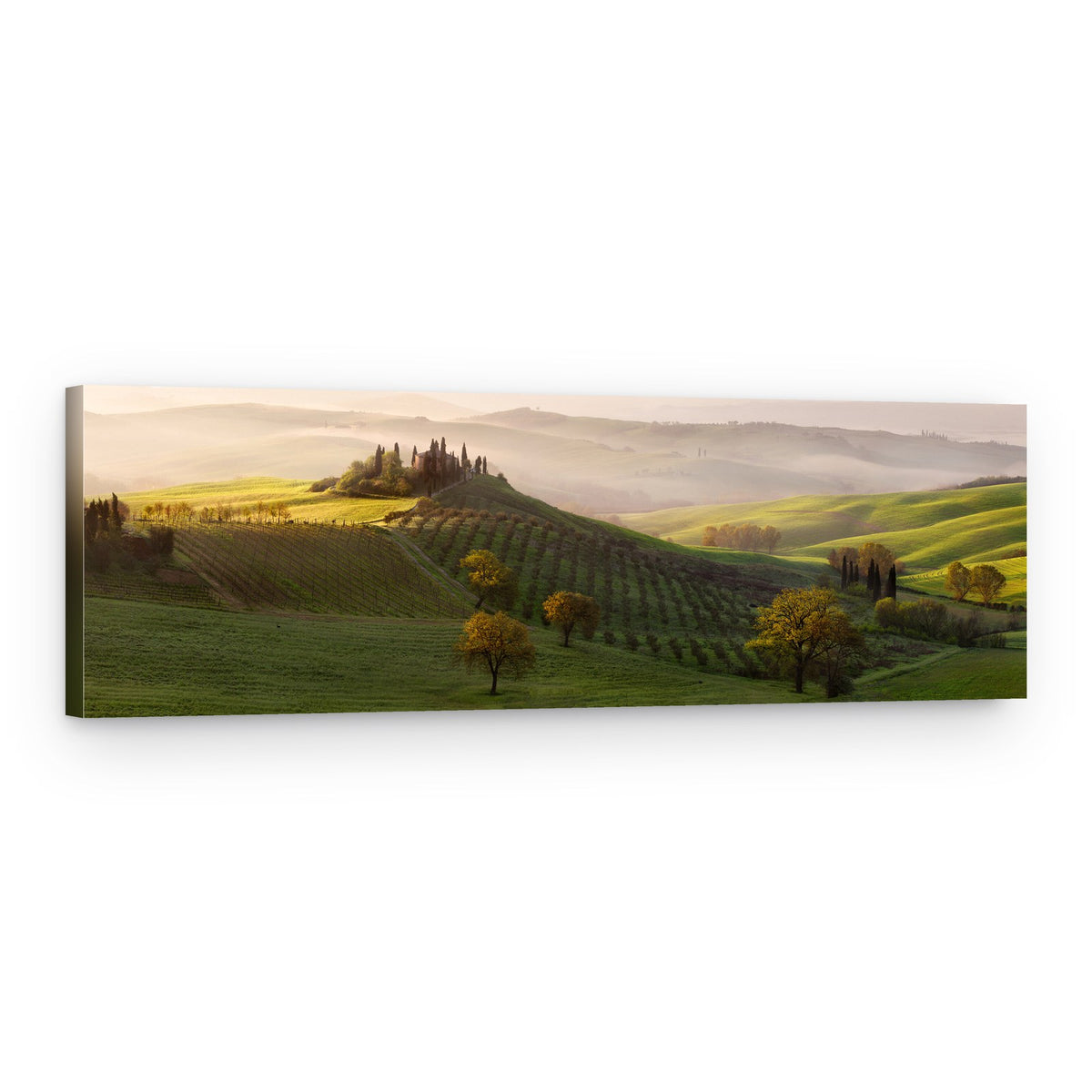 Tutte le Strade Portano a Belvedere – Canvas Print