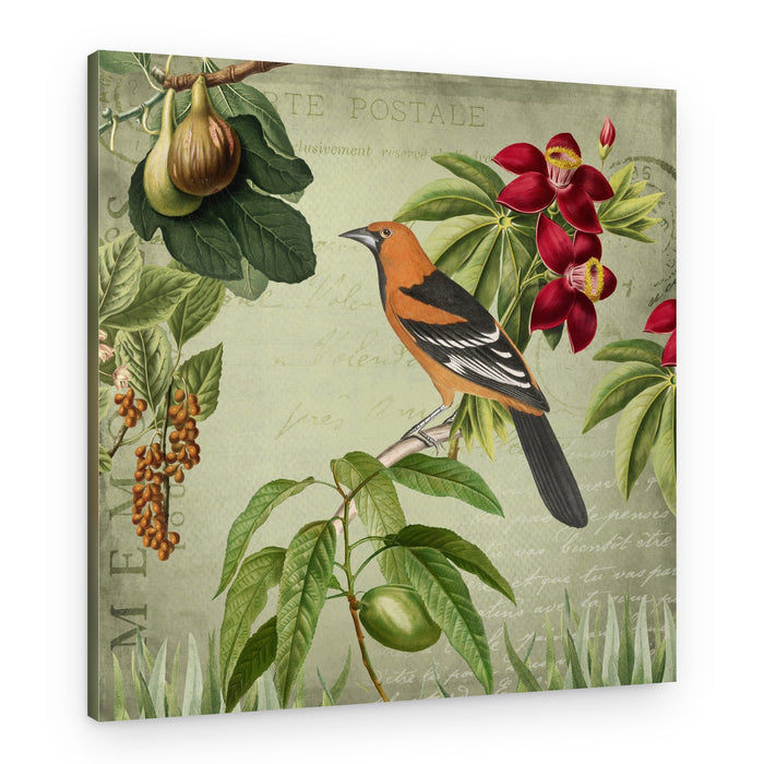 Tropical Bird Botanical Scene – Canvas Print