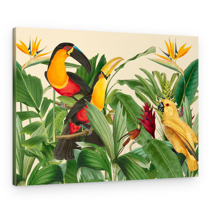 Exotic Rainforest Birds – Canvas Print