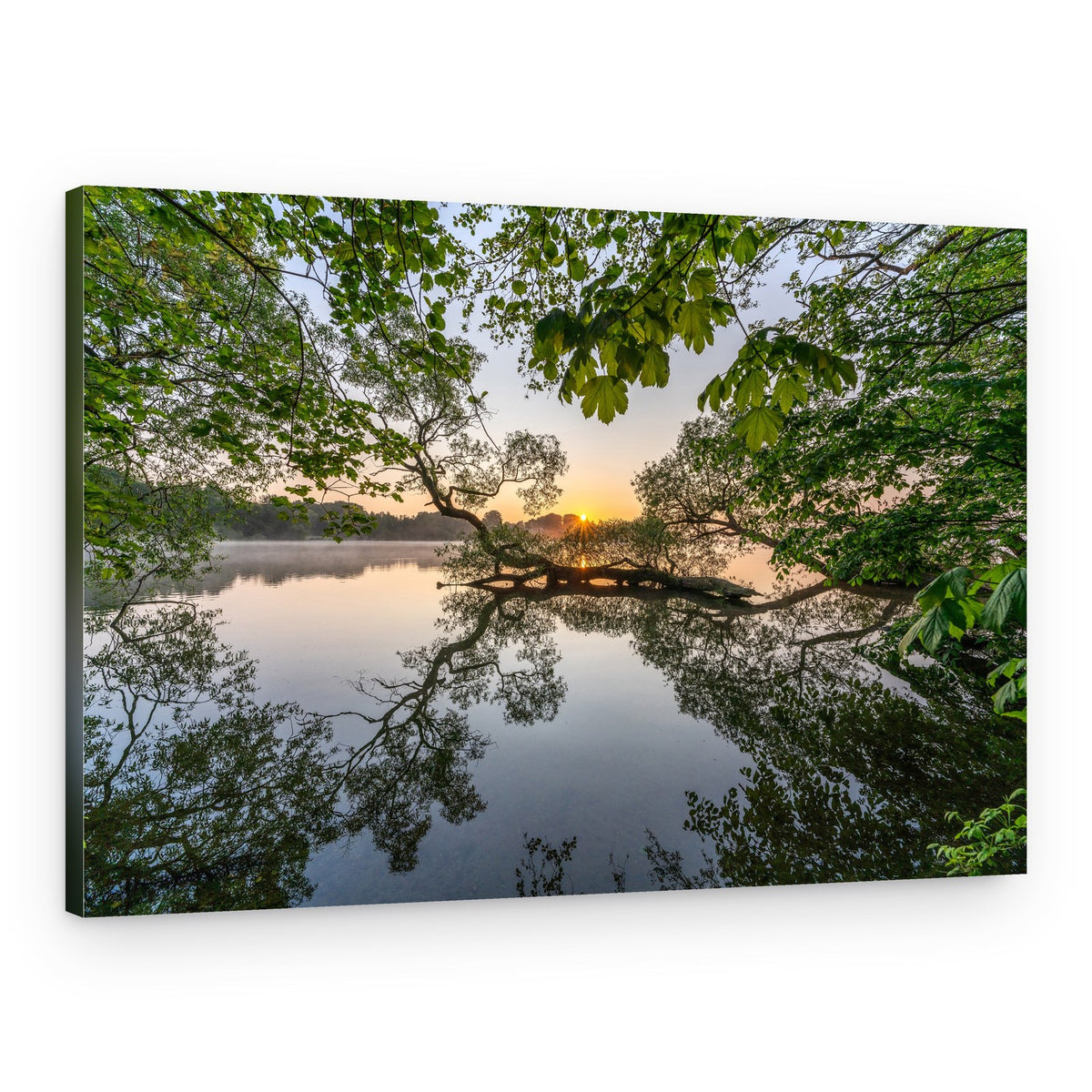 Misty Morning Lake – Canvas Print