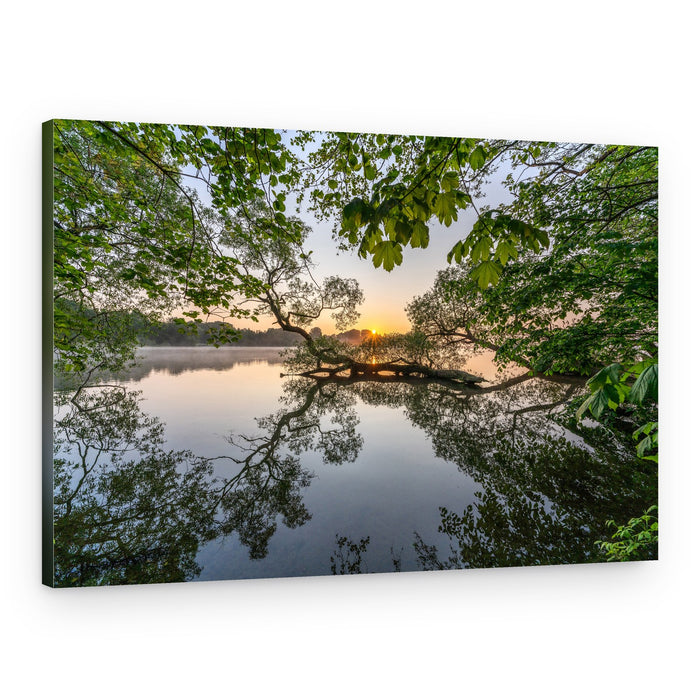 Misty Morning Lake – Canvas Print