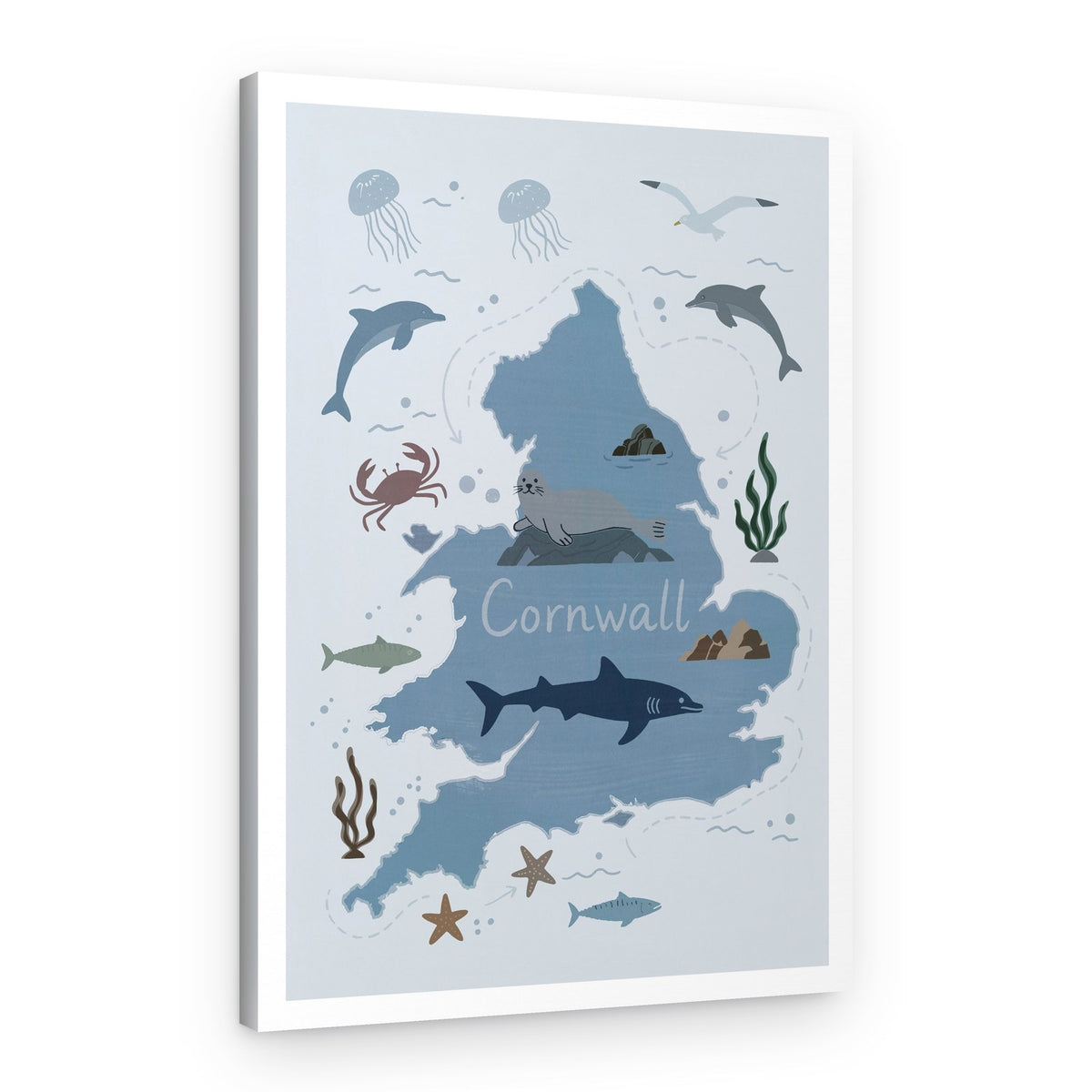 Cornwall Sea Life Map – Canvas Print