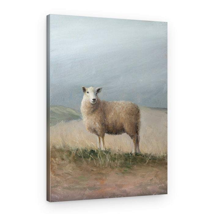Pastoral Sheep – Canvas Print