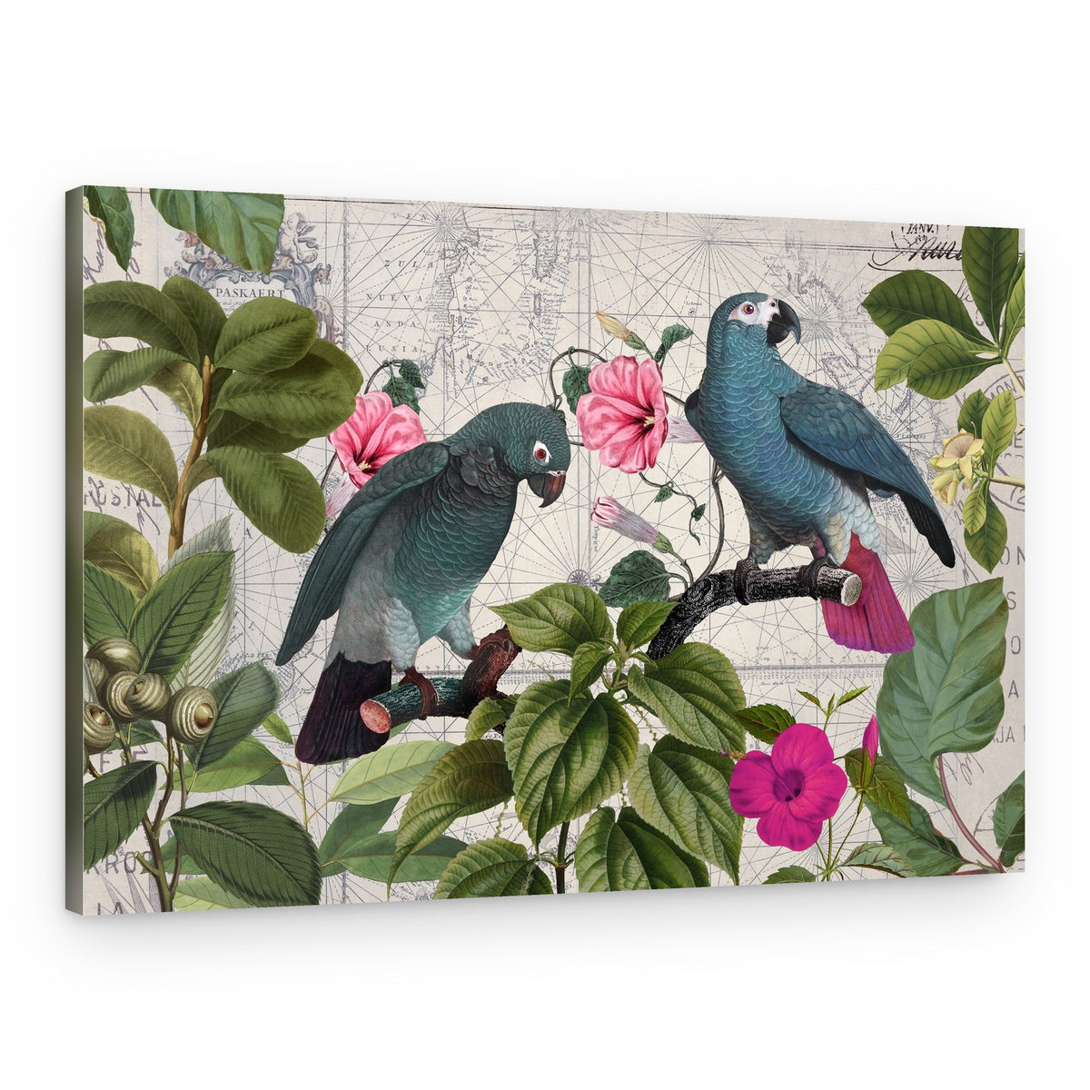 Blue Parrots Tropical Map – Canvas Print