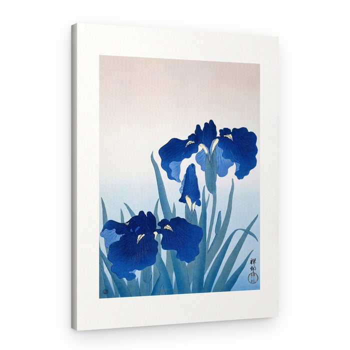 Iris Flowers – Canvas Print