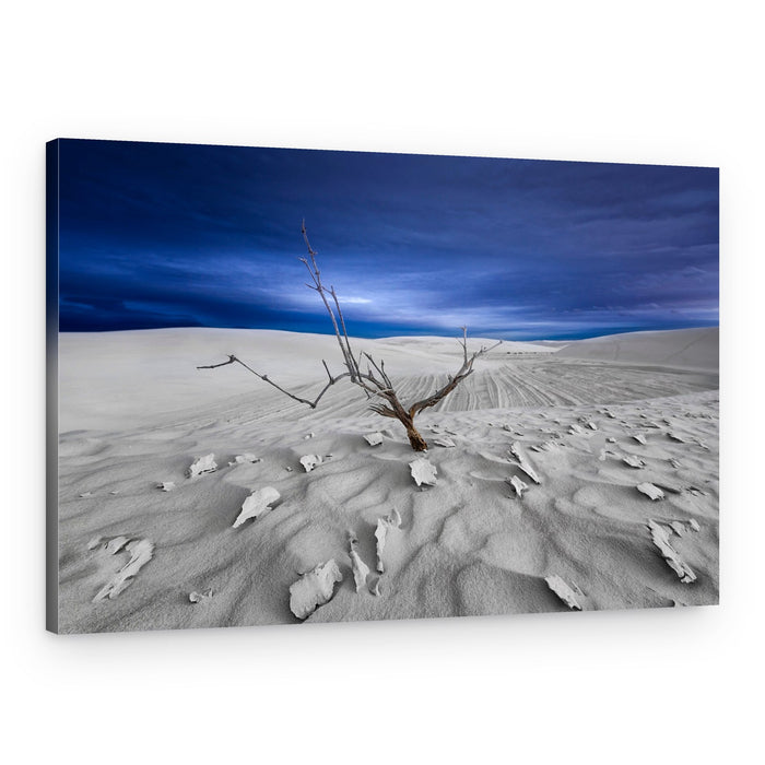 Solitary Desert Tree – Canvas Print
