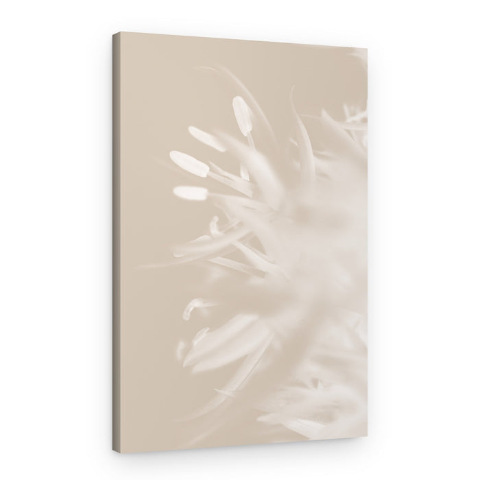 Soft Petal Bloom – Canvas Print
