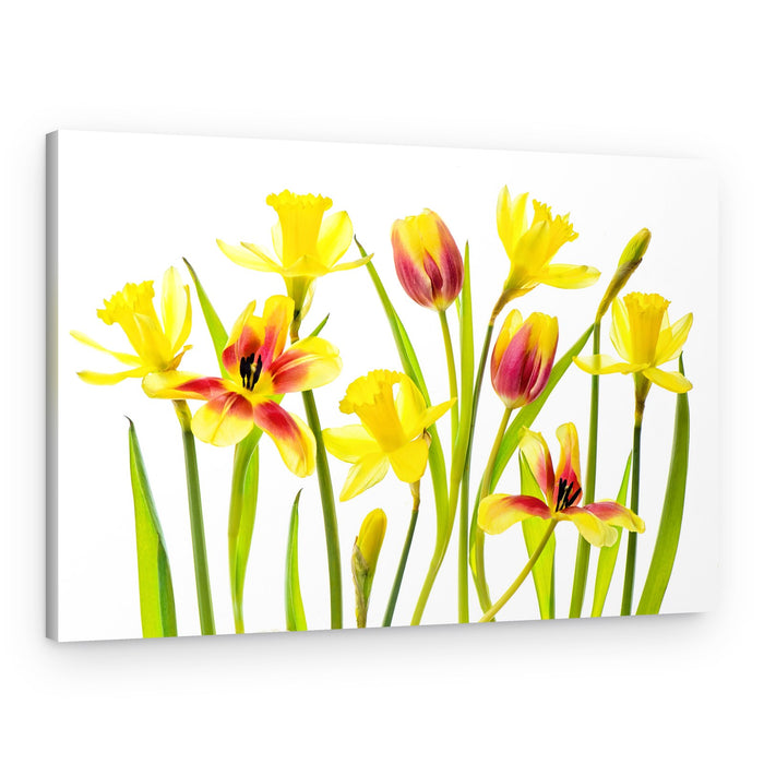 Cheerful Spring Flowers – Canvas Print