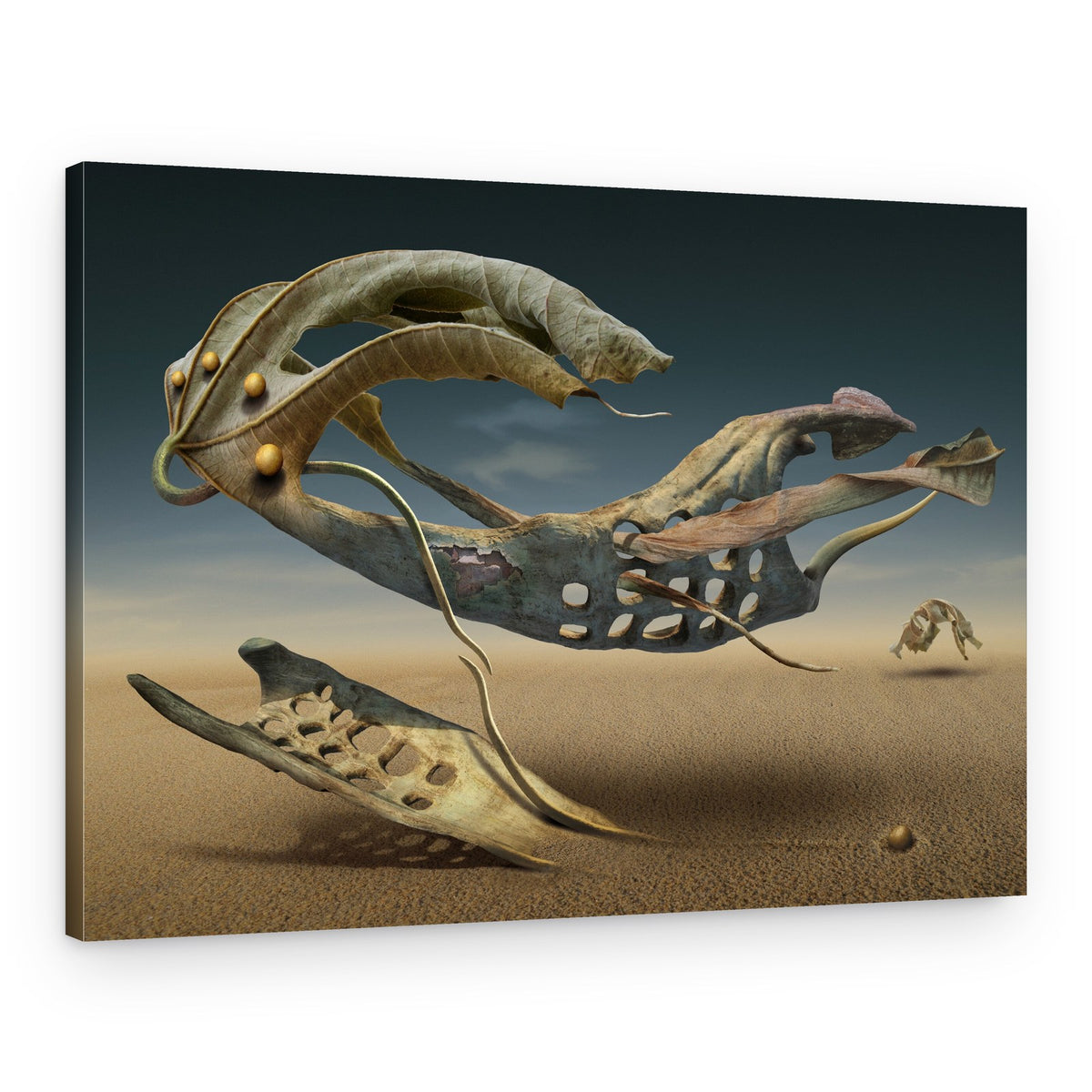 Floating Desert Forms – Canvas Print