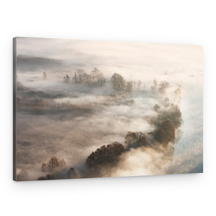 Golden Foggy Trees – Canvas Print
