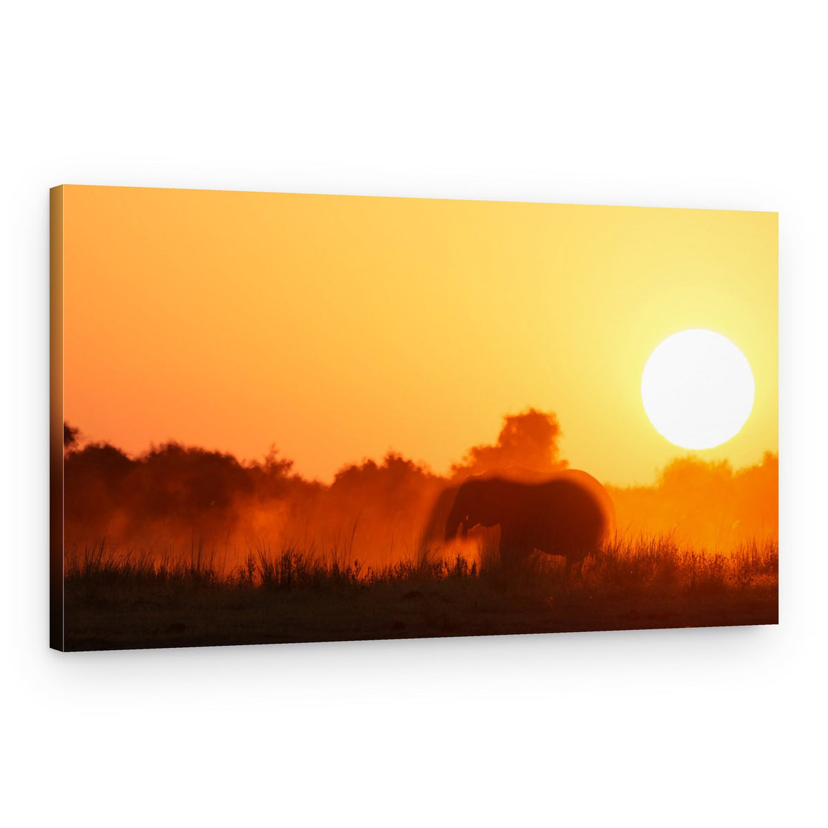 African Sunset Elephant – Canvas Print