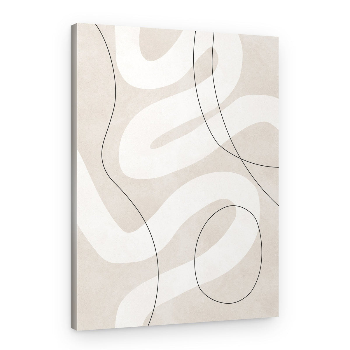 Abstract Flowing Shapes – Canvas Print