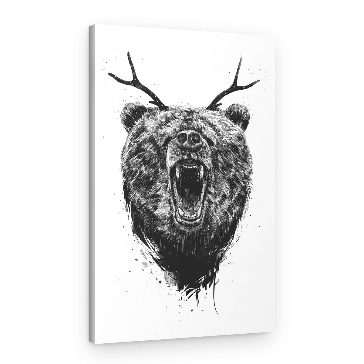 Roaring Bear Antlers – Canvas Print