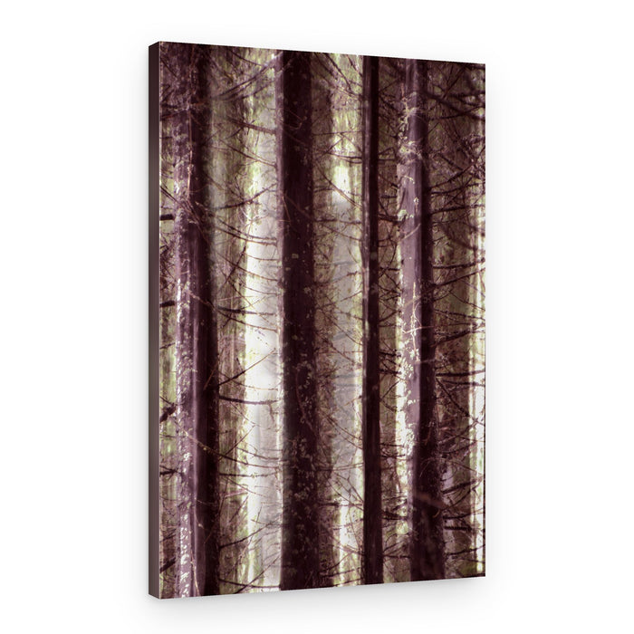 Ethereal Forest Light – Canvas Print