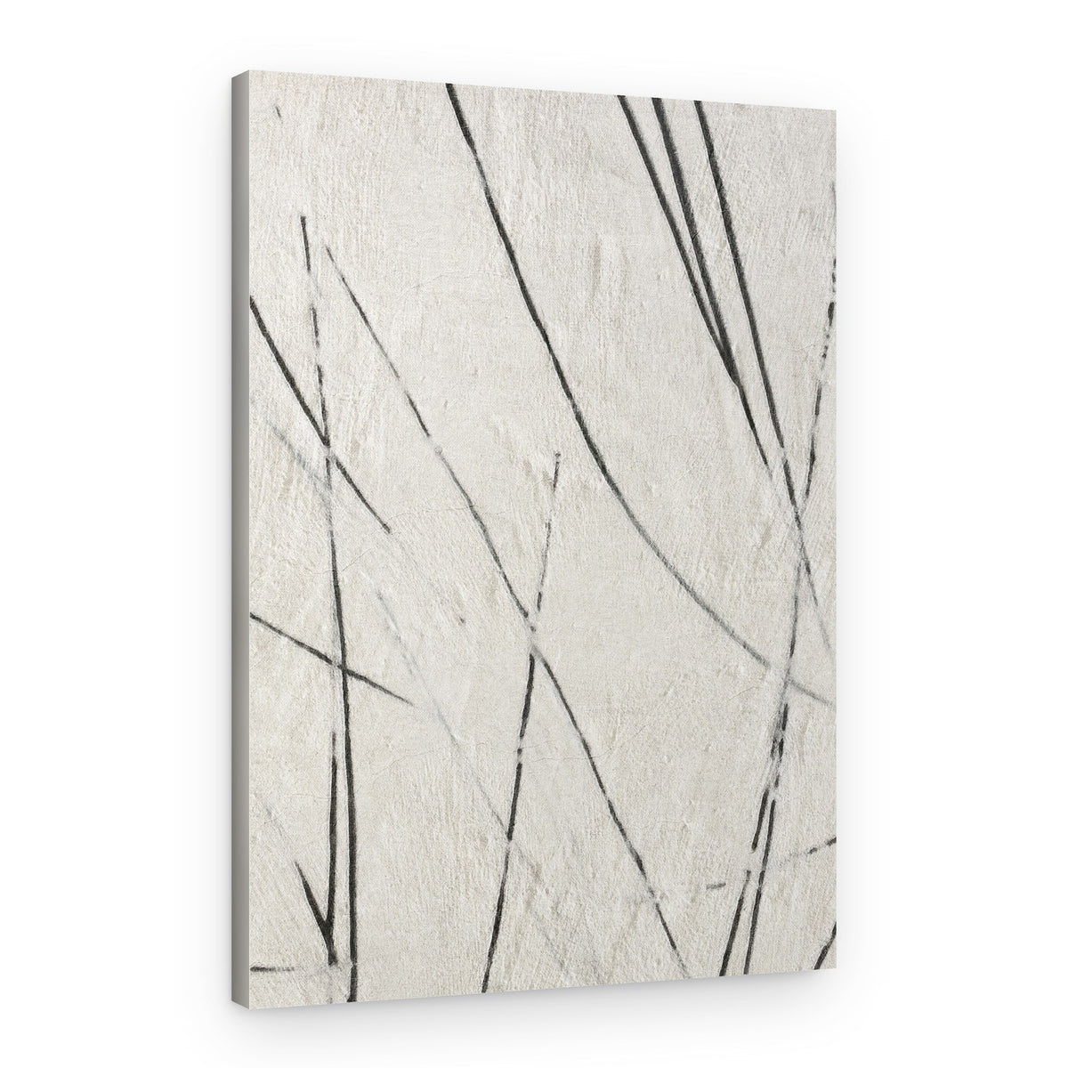 Organic Lines Texture – Canvas Print
