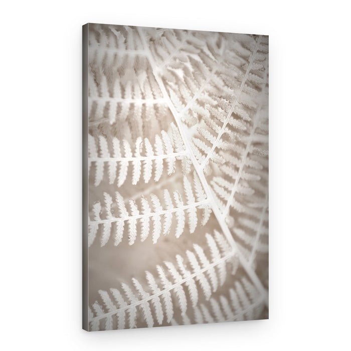 Delicate Fern Pattern – Canvas Print