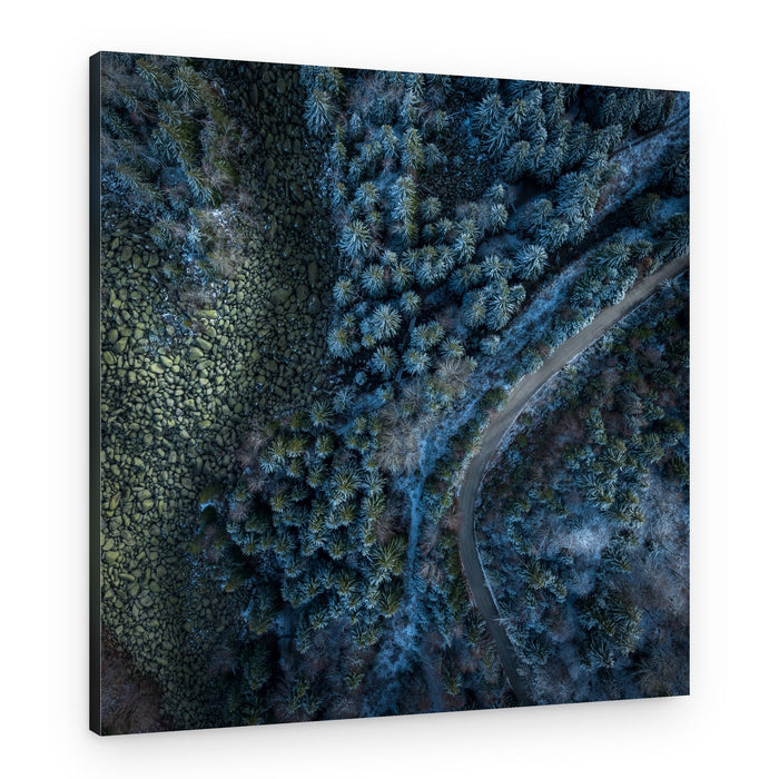 Winter Forest Road – Canvas Print