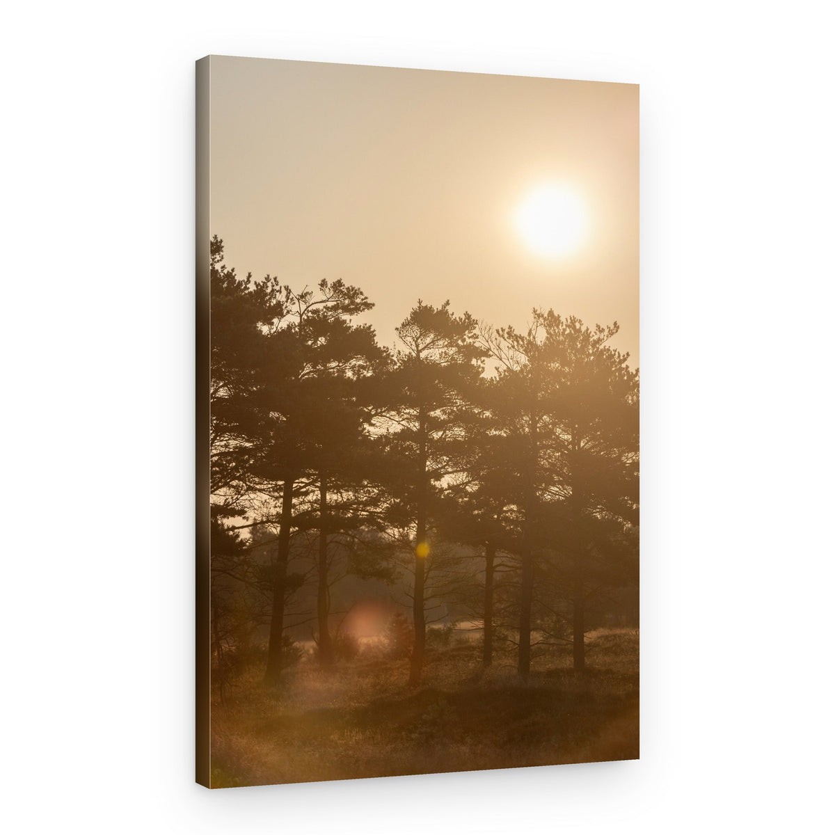A Morning Scene 5 – Canvas Print