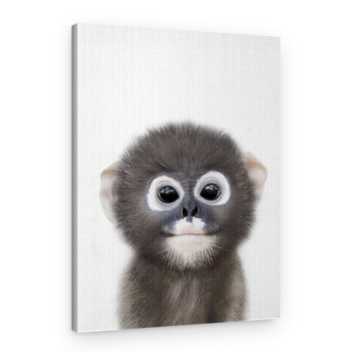 Cute Baby Monkey Portrait – Canvas Print