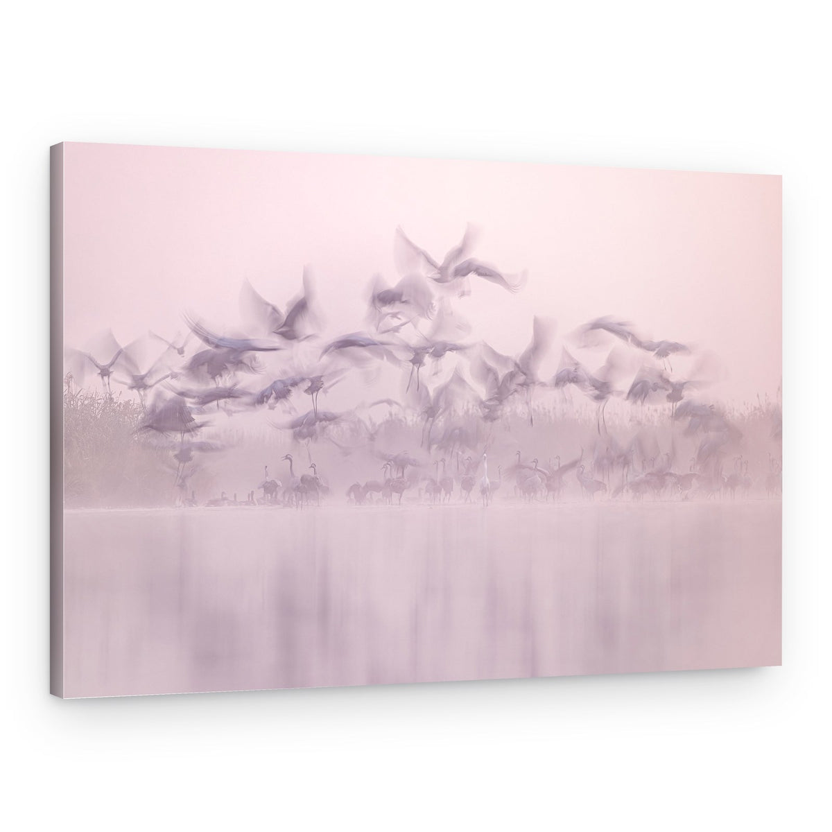 Ethereal Flamingo Flight – Canvas Print