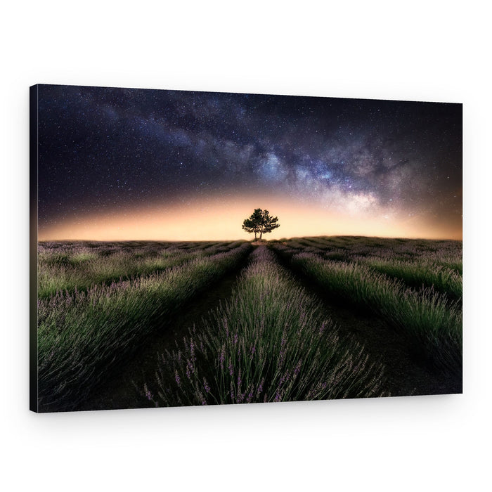 Starry Lavender Night – Canvas Print
