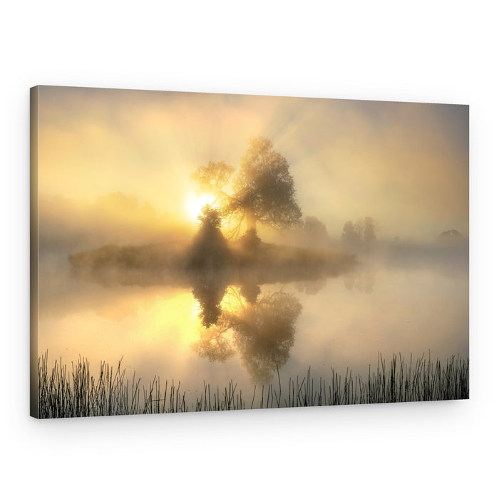 Golden Misty Sunrise – Canvas Print