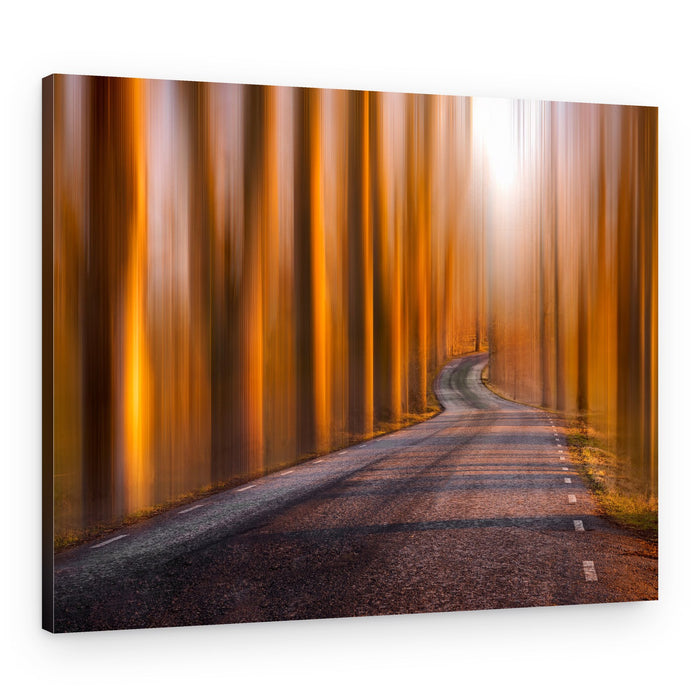 Winding Golden Path – Canvas Print