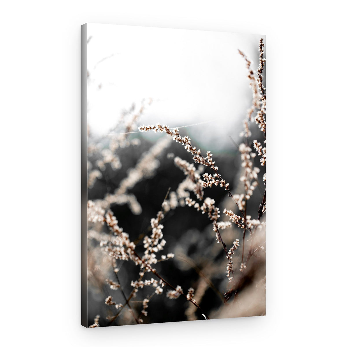 Unknown 10 – Canvas Print
