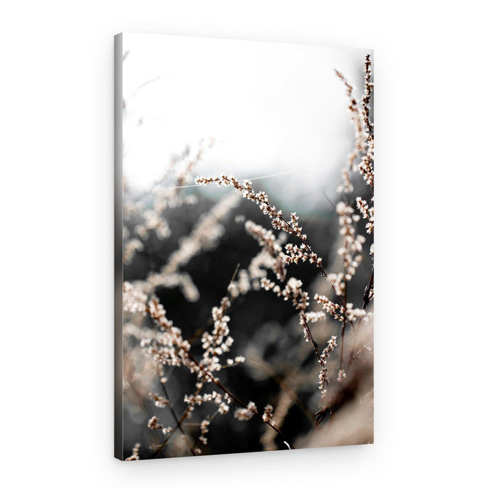 Unknown 10 – Canvas Print