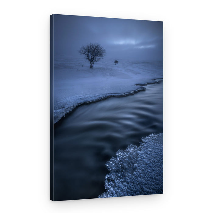 Tranquil Winter Stream – Canvas Print