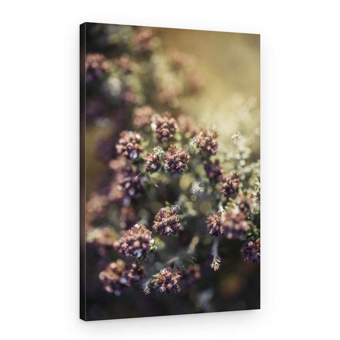 Soft Golden Blooms – Canvas Print
