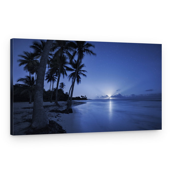 Tropical Moonrise – Canvas Print