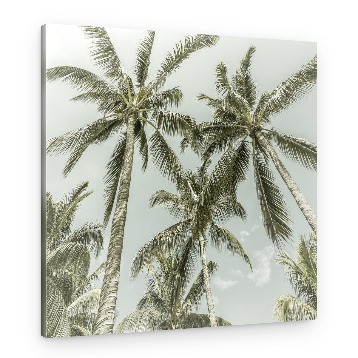 Retro Tropical Palms – Canvas Print