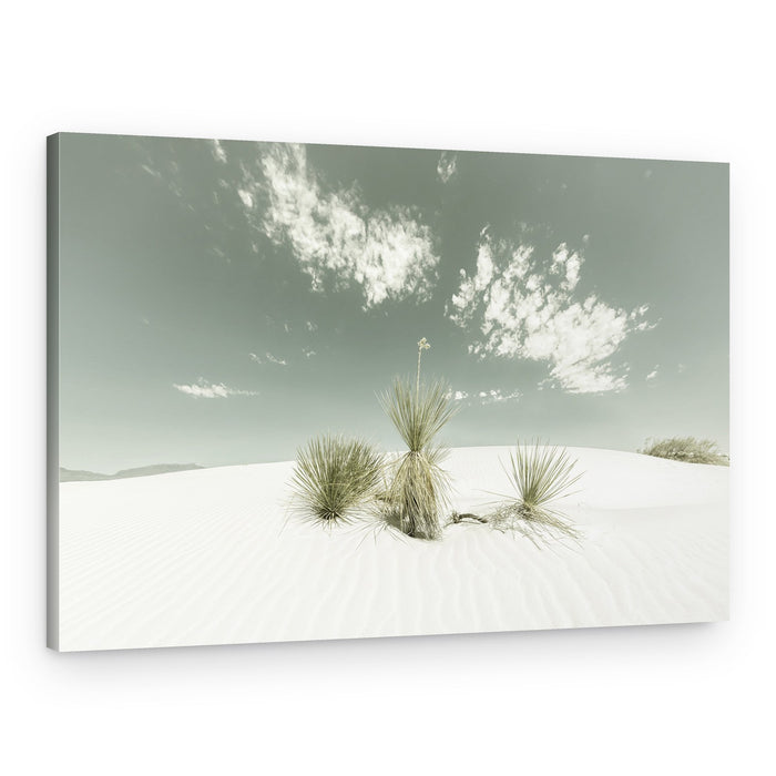 White Desert Serenity – Canvas Print