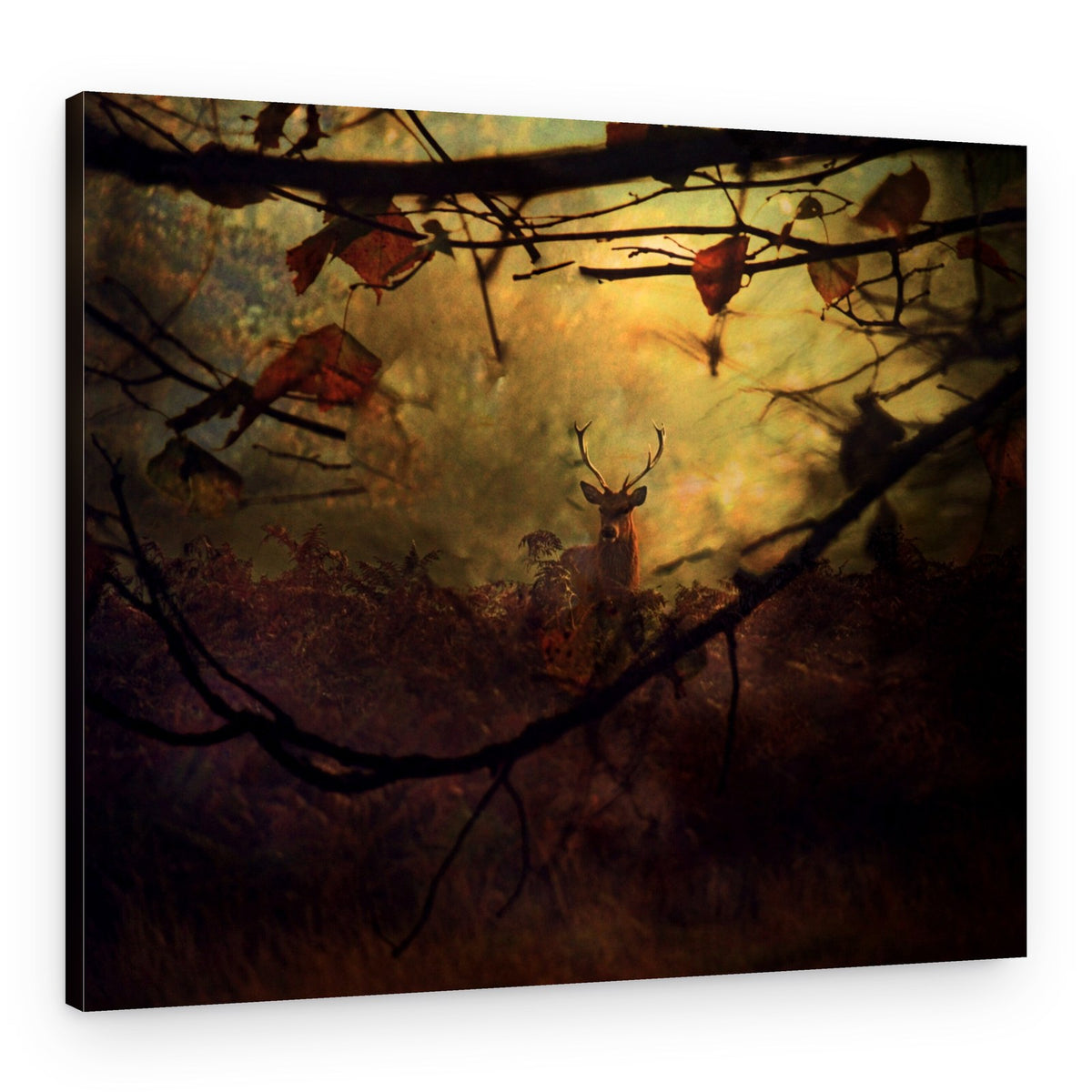 Mystical Forest Stag – Canvas Print