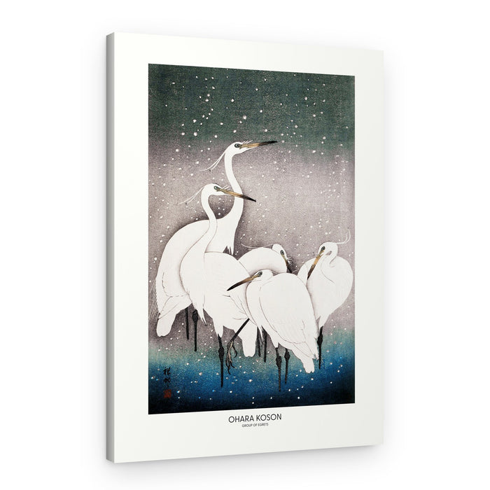 Group Of Egrets – Canvas Print