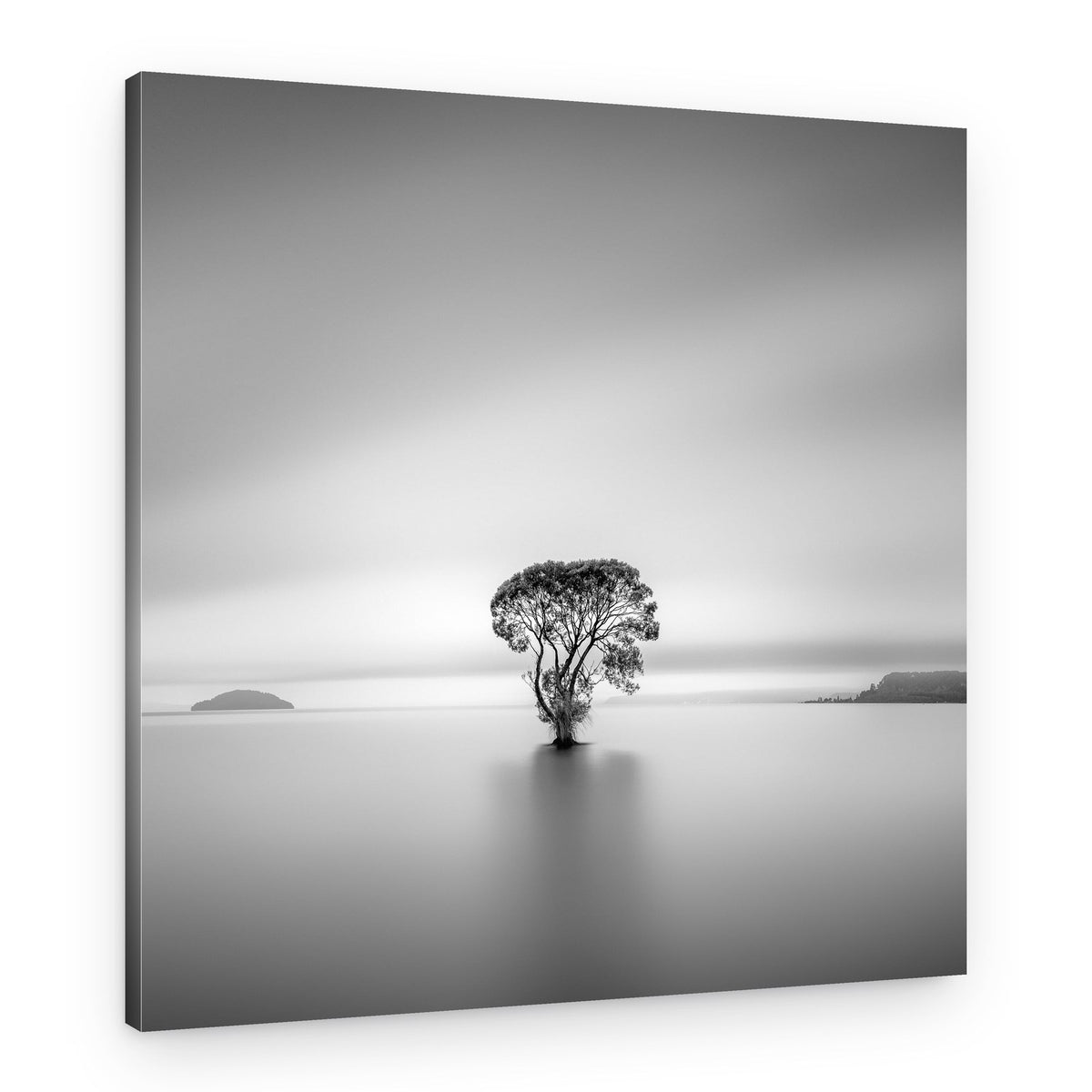 Serene Lone Tree – Canvas Print