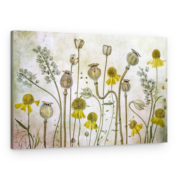 Poppies and Helenium – Canvas Print