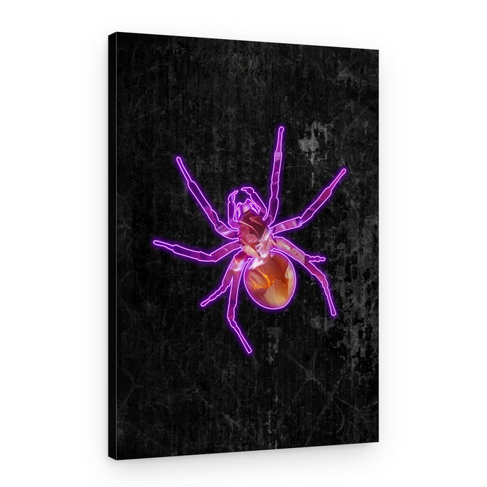 Glowing Purple Spider – Canvas Print