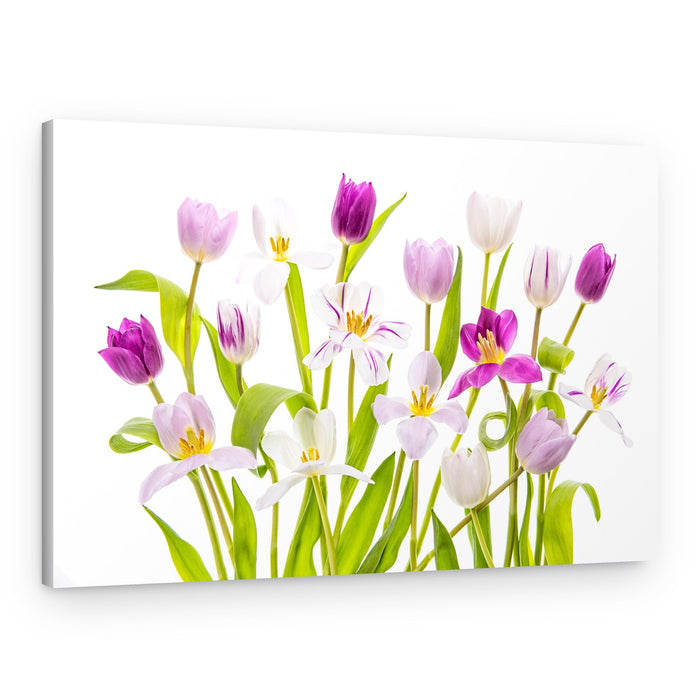 Vibrant Spring Tulips – Canvas Print