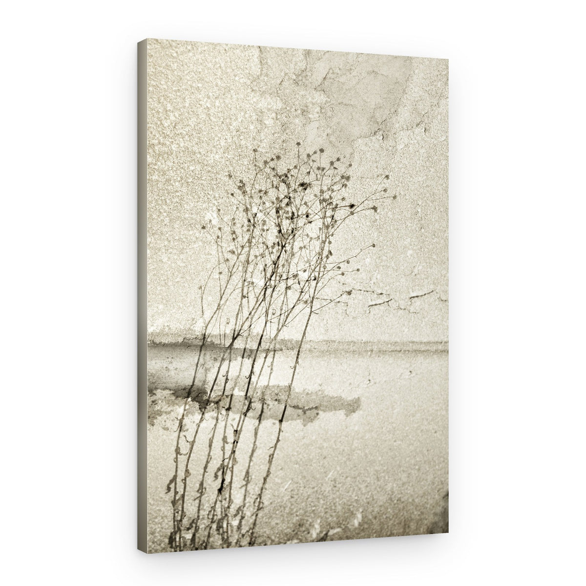 Rustic Botanical Study – Canvas Print