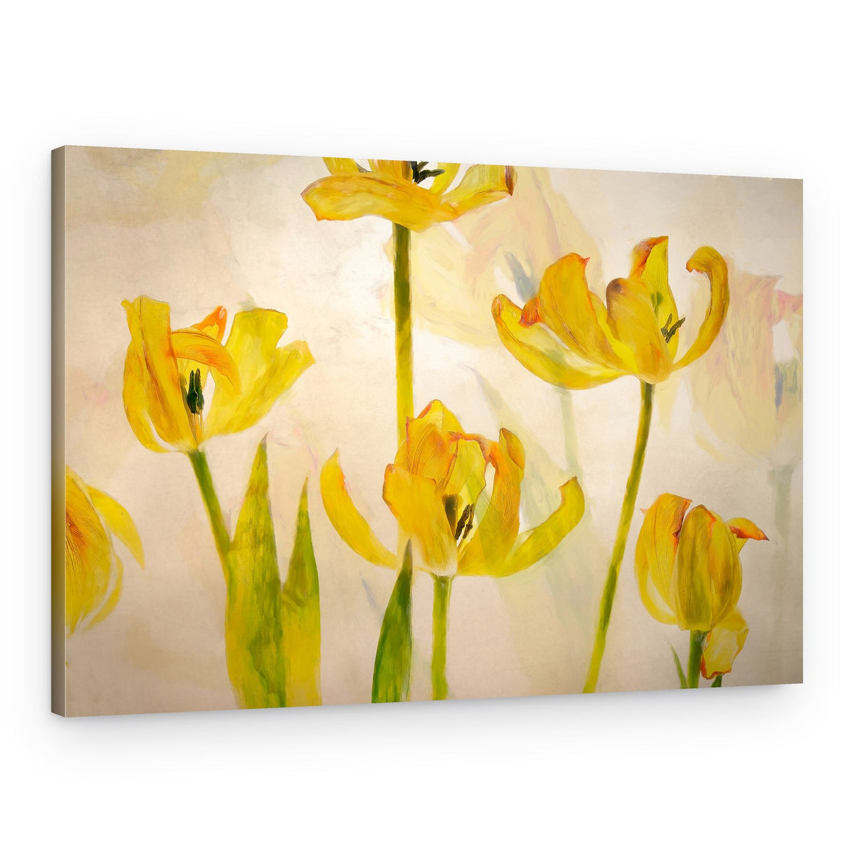 Flowering tulips – Canvas Print