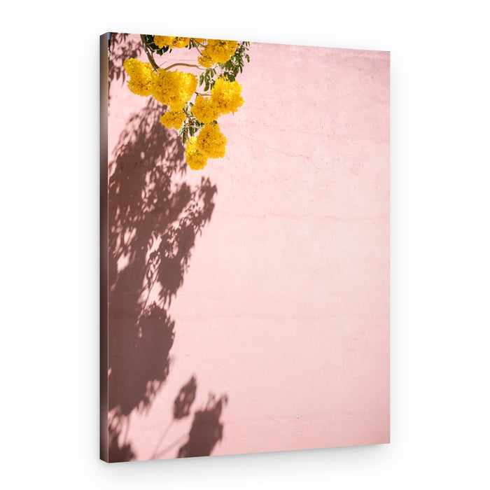 Yellow and Pink | Oaxaca Mexico – Canvas Print