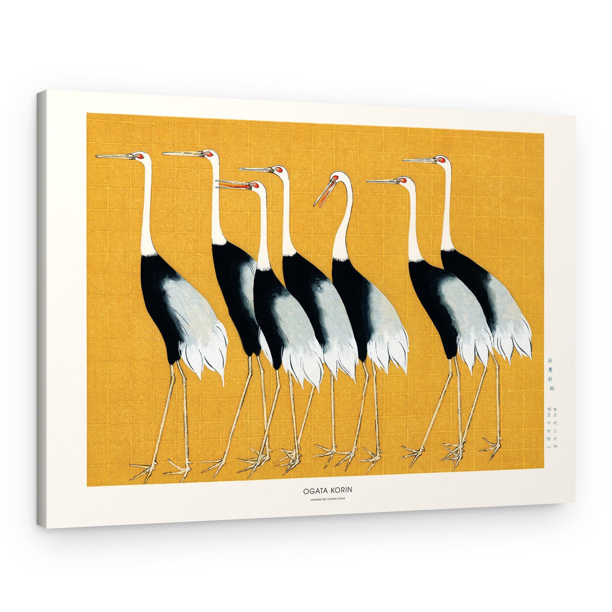 Japanese Red Crown Crane – Canvas Print