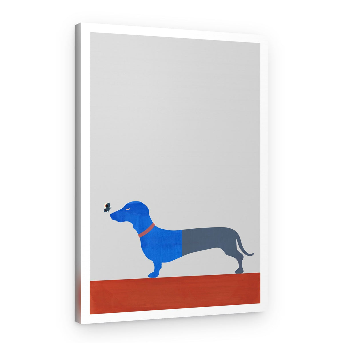 Curious Blue Dachshund – Canvas Print
