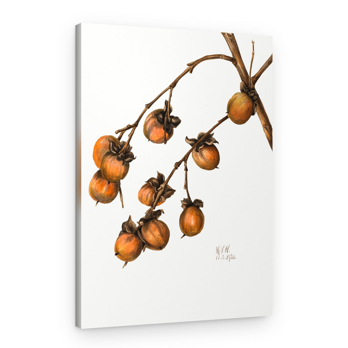 Persimmon (1920) – Canvas Print
